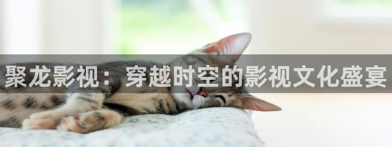 西瓜影院怎么下载