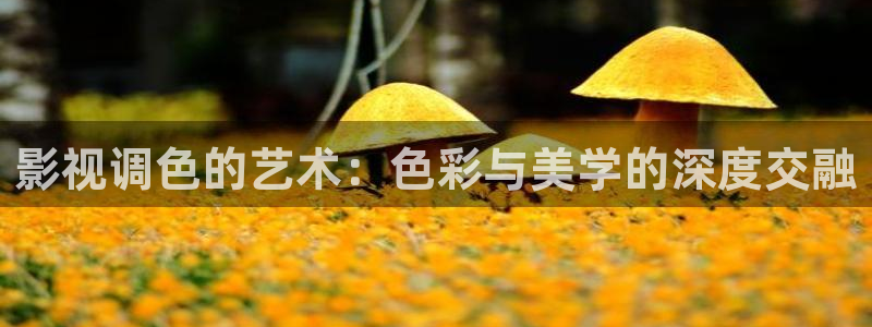 西瓜视频app免费看